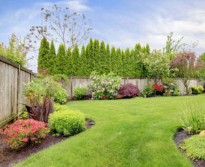 Lawn Care Services