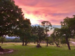 Land clearing in Texas