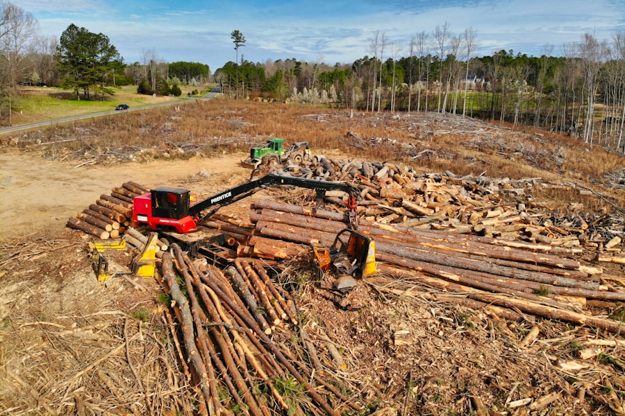 Environmental Impact of Land Clearing