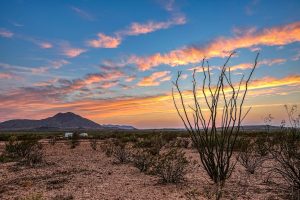 Regulations for land clearing in Texas