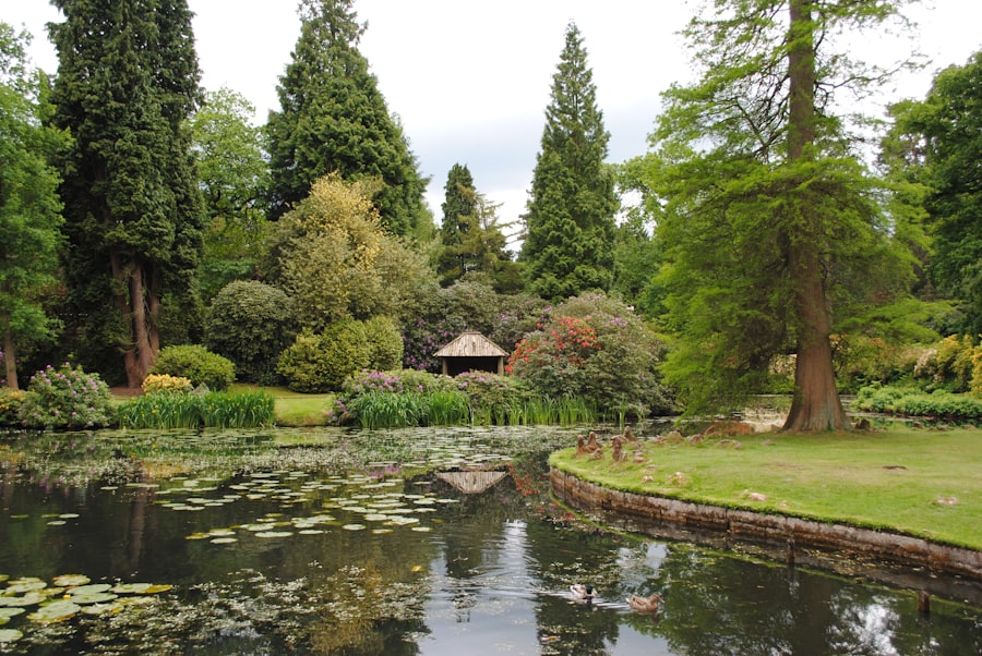 Water Pond Builder