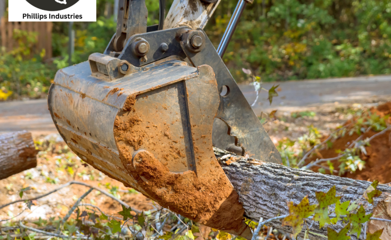 Land clearing in Williams