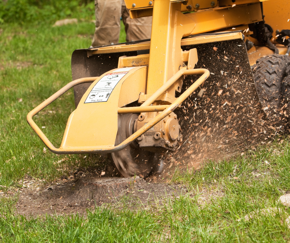 Stump Removal Services - Get Started Today