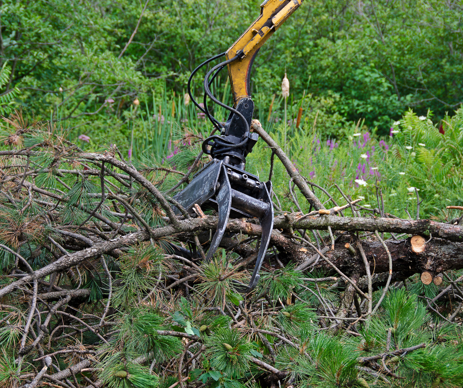 Tree Removal Services - Get Started Today