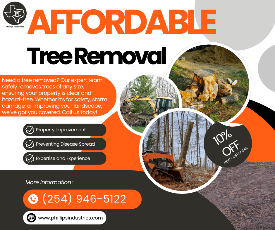 Affordable Tree Removal - Get Started Today