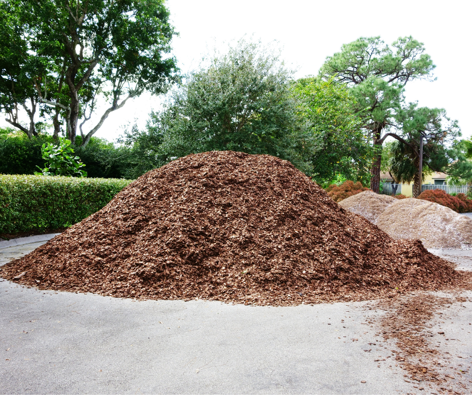 Tree Pile Shredding Texas - Get Started Today