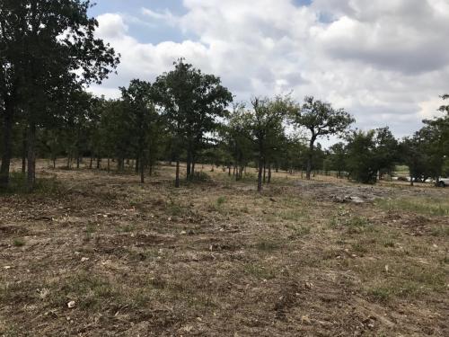 Land Clearing Services TX