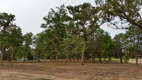 Land Clearing Texas