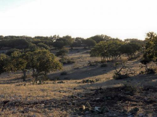 Land Improvement